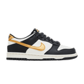 Nike Dunk Low GS 'Anthracite Metallic Gold'