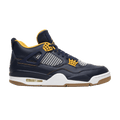 Air Jordan 4 Retro 'Dunk From Above'