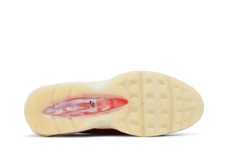 Nike Air Max 95 Anatomy of Air GID