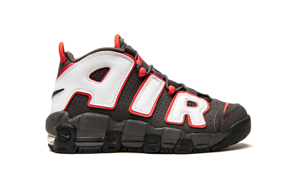 Air More Uptempo GS "Brown Bulls" DH9719 200