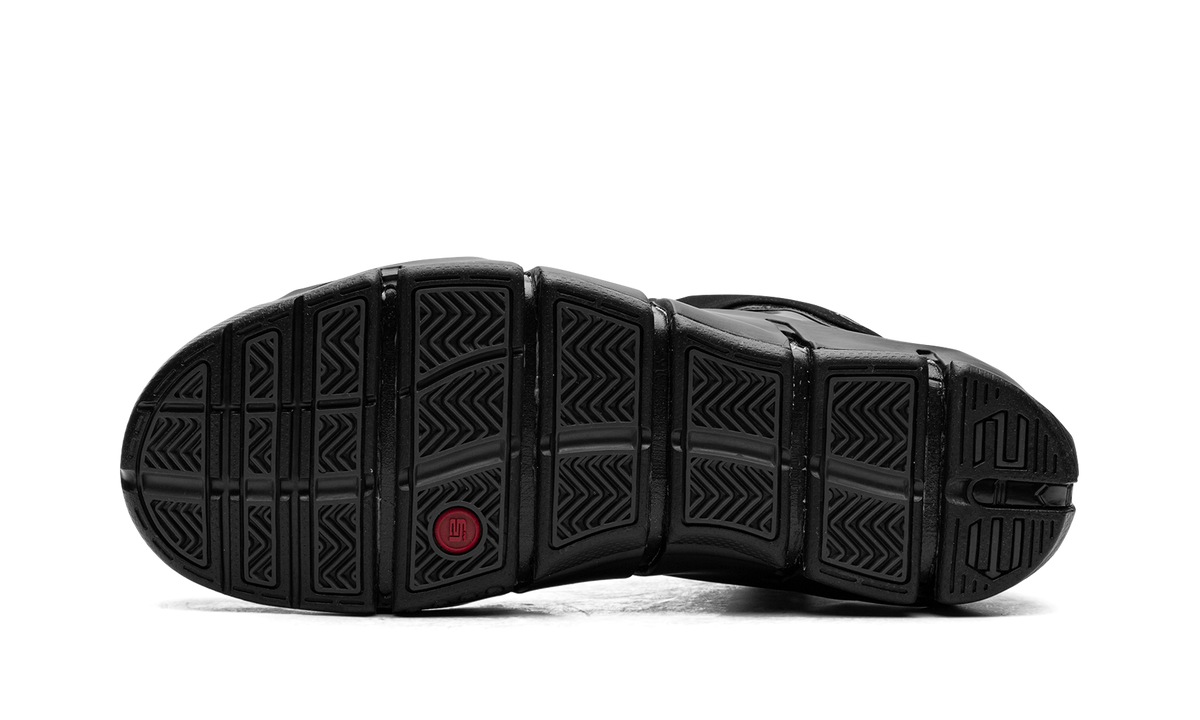 LeBron 4 "Anthracite" FJ1597 001