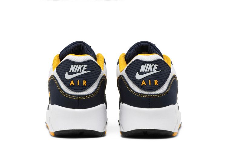 Nike Air Max 90 'Dunk From Above'