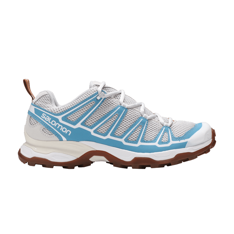Salomon X Ultra Advanced 'Lunar Rock Niagara'