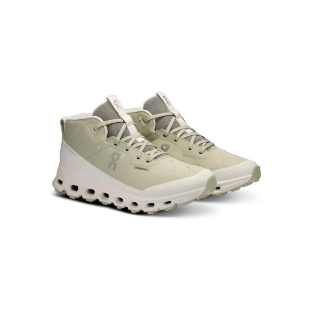 Women’S Cloudroam Waterproof Boot In Chalk Ice