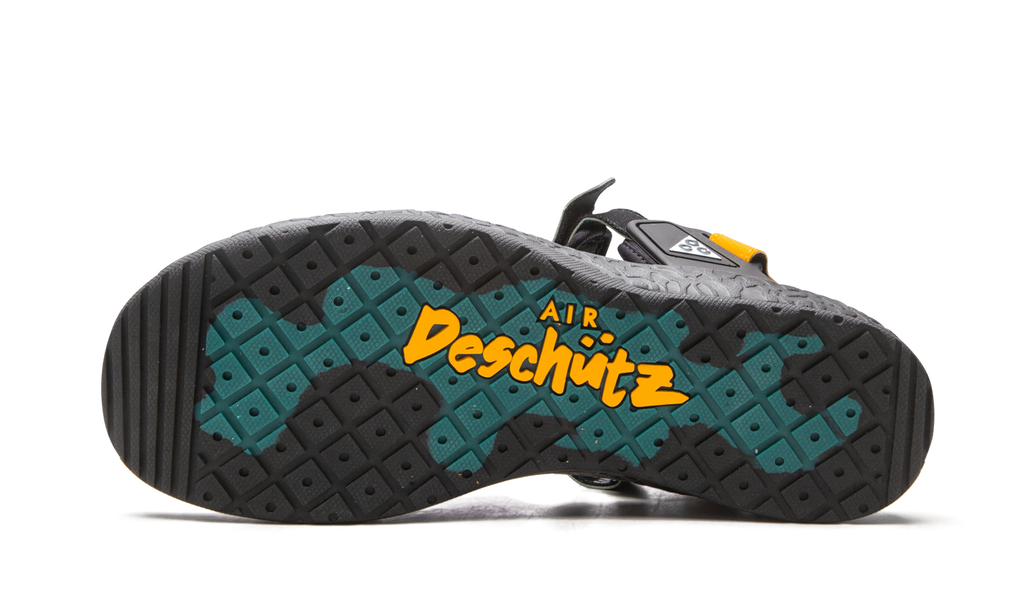 ACG AIR DESCHUTZ "Vivid Purple" CT2890 002