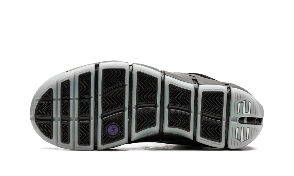 LeBron 4 "Eggplant" FN6251 001