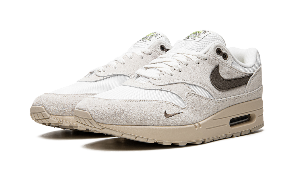 Air Max 1 "Sail Ironstone" DZ4494 100