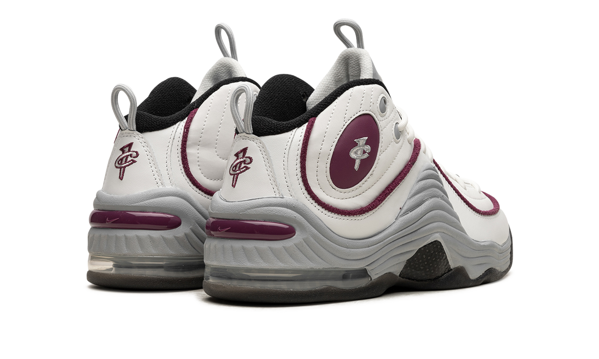 AIR PENNY 2 WMNS "Rosewood" DV1163 100