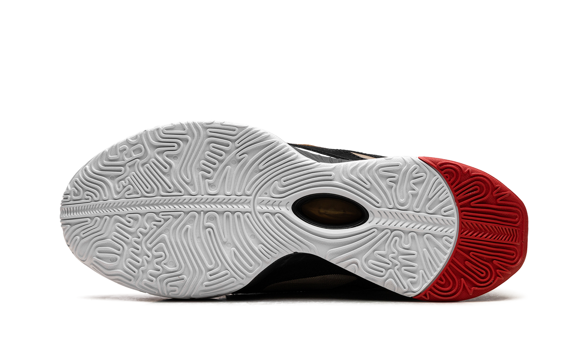 LeBron 21 "Prime 93" HQ3480 001