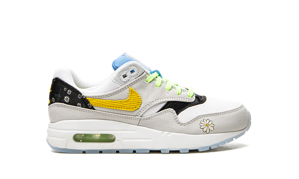 Air Max 1 GS "Daisy Pack" CW5861 100
