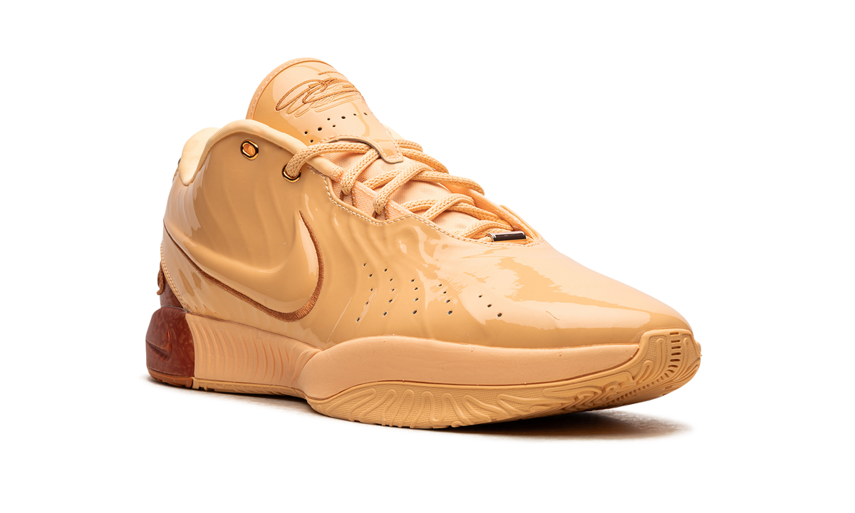 LeBron 21 "Dragon Pearl" FV2345 800