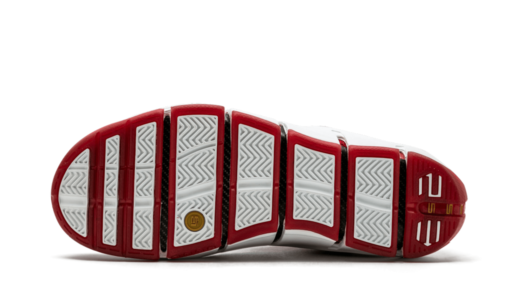 Zoom Lebron 4 "China" 314647 611