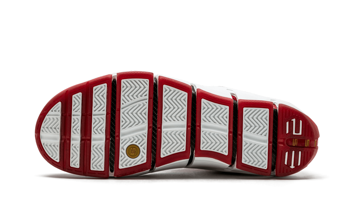 Zoom Lebron 4 "China" 314647 611