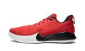 Mamba Focus "University Red" AJ5899 600